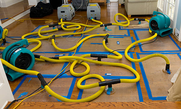 Professional Water Damage Repair technician working in Prairie Lea, TX